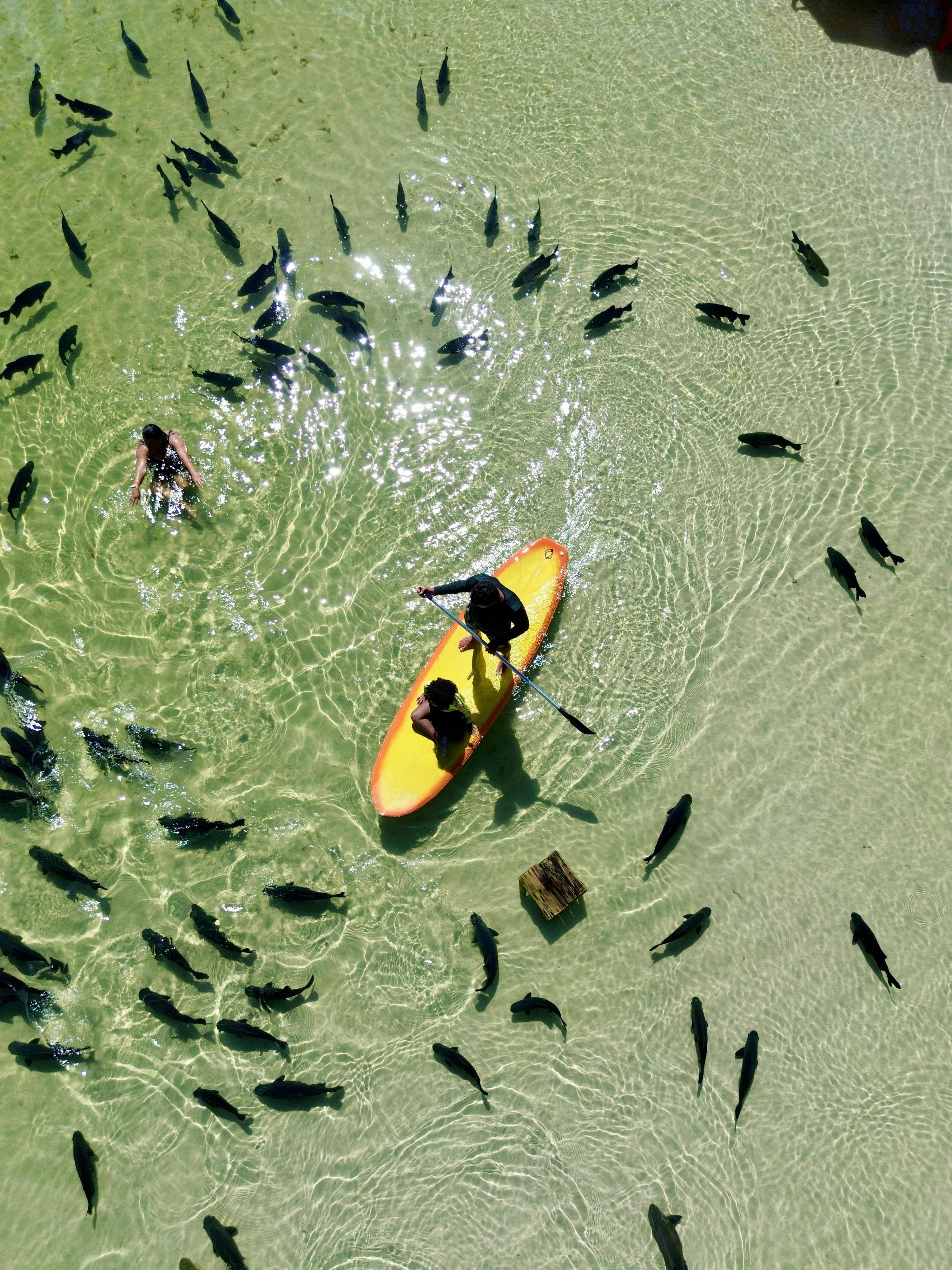 Lake Chala